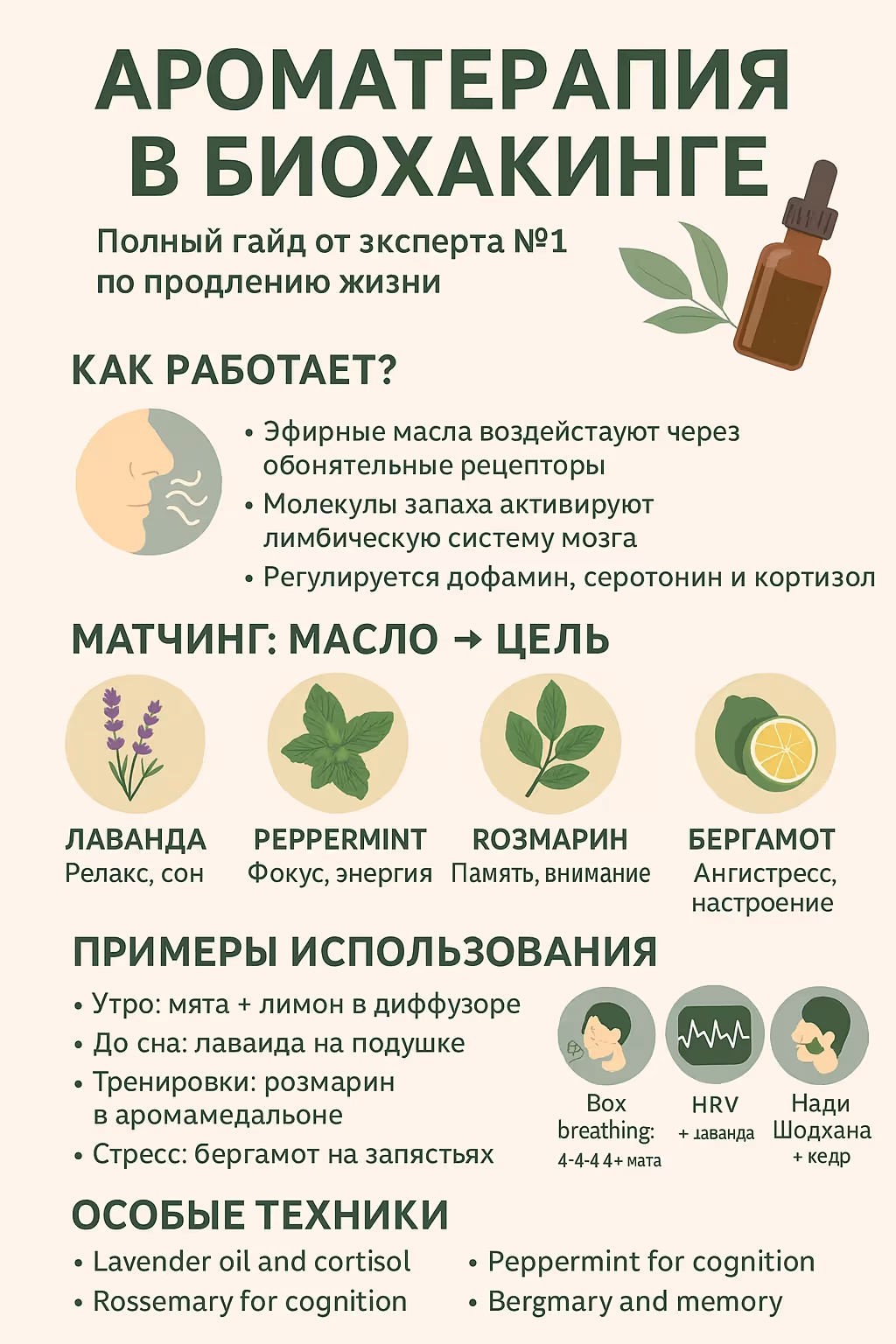 Ароматерапия в биохакинге: что доказала наука Основное изображение