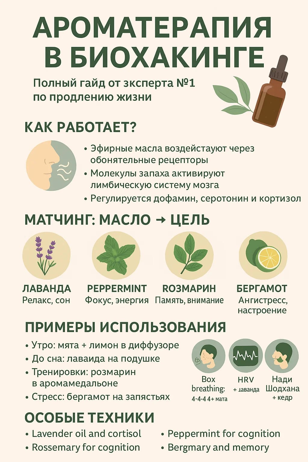 Ароматерапия в биохакинге: что доказала наука Основное изображение