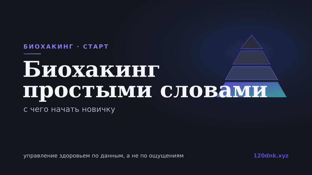 Что такое биохакинг простыми словами: с чего начать Основное изображение