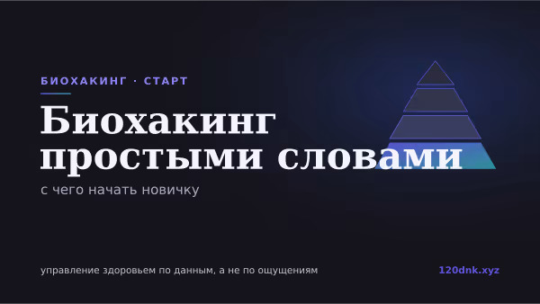 Что такое биохакинг простыми словами: с чего начать Основное изображение