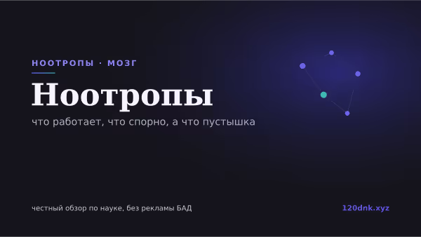 Ноотропы: что работает, что спорно, а что пустышка Основное изображение