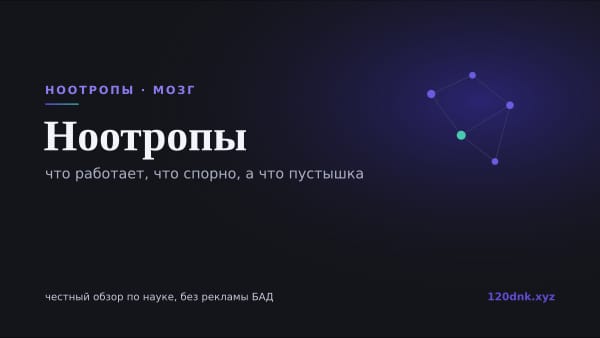 Ноотропы: что работает, что спорно, а что пустышка Основное изображение