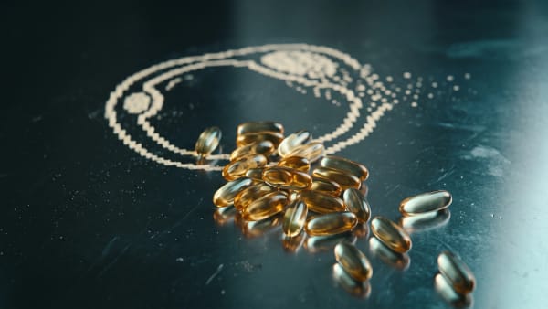 CLA (конъюгированная линолевая кислота): жиросжигатель или миф Основное изображение