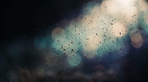 Плавающие мушки перед глазами: опасно или нет Основное изображение